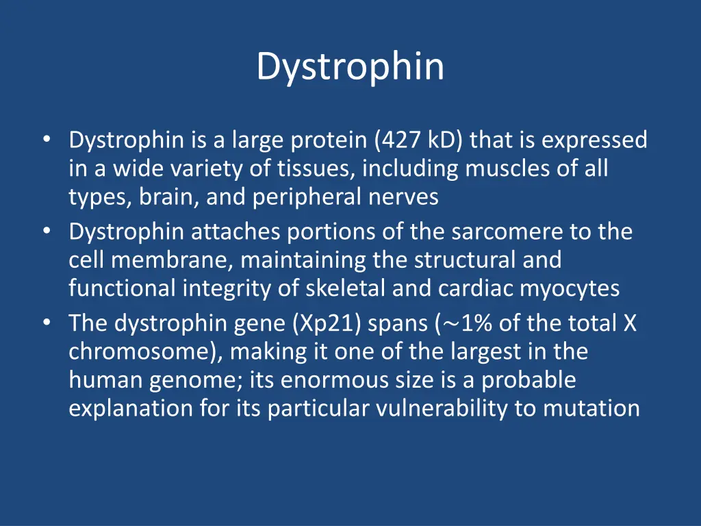 dystrophin