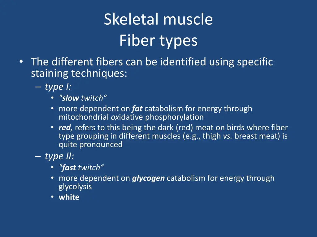 skeletal muscle fiber types 1