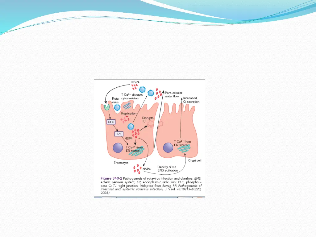 slide15