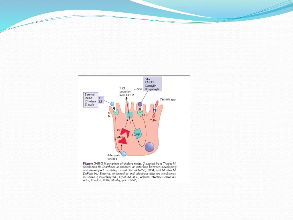 slide16
