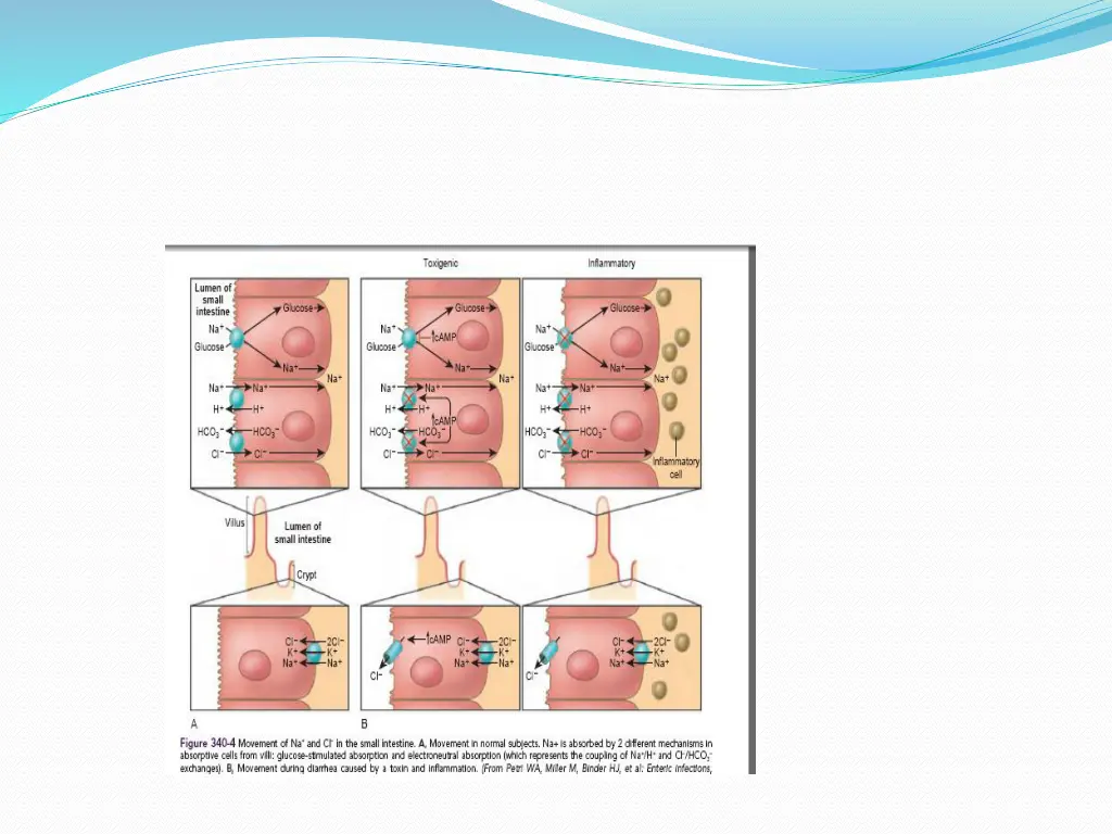 slide17