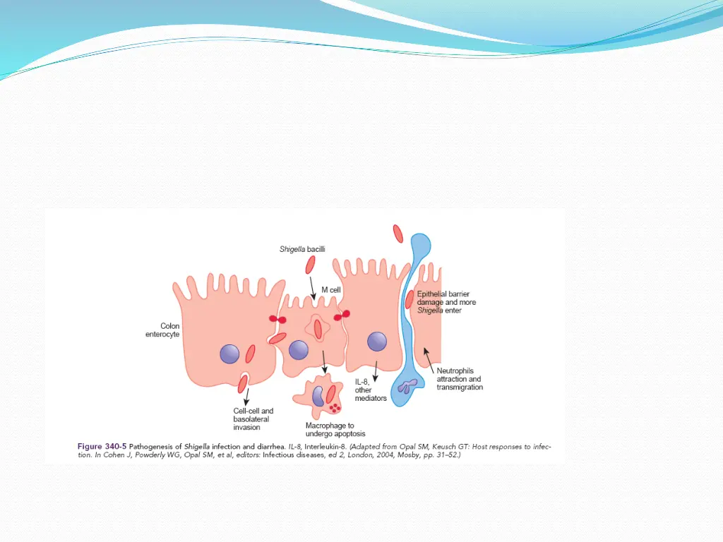 slide18