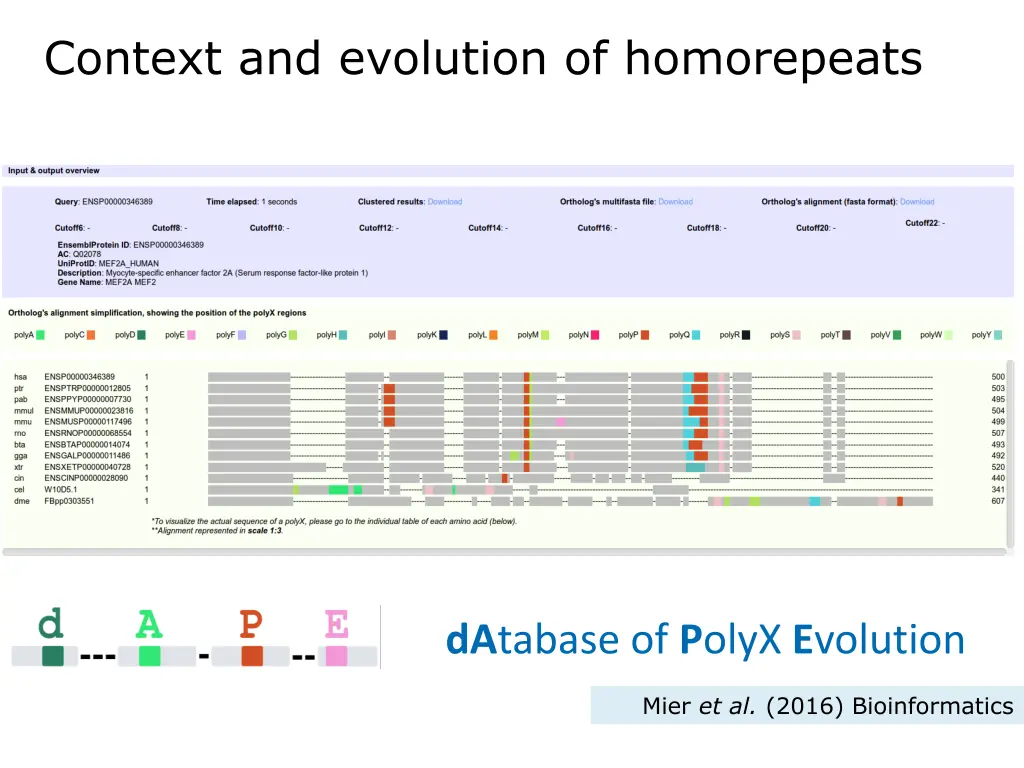 context and evolution of homorepeats