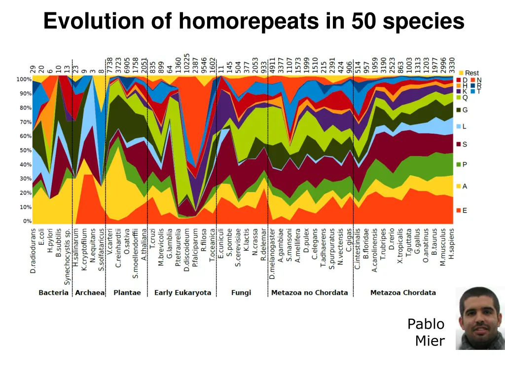evolution of homorepeats in 50 species