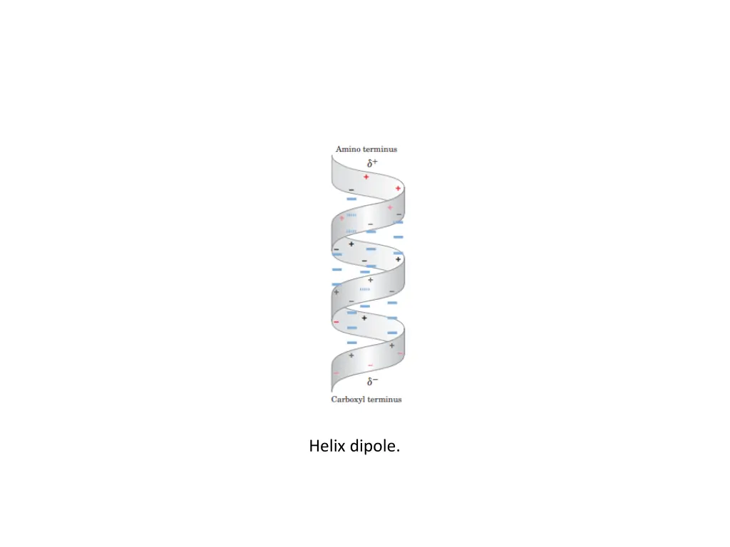 helix dipole