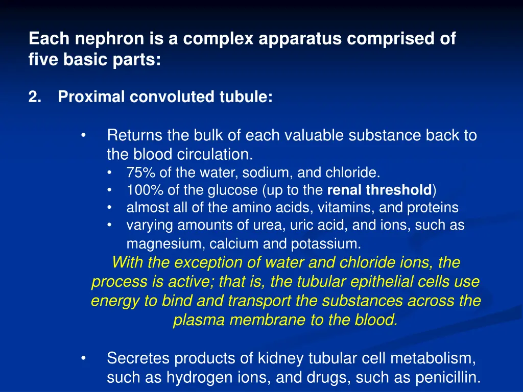 each nephron is a complex apparatus comprised 1