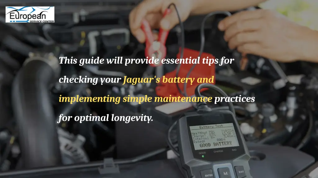 this guide will provide essential tips for