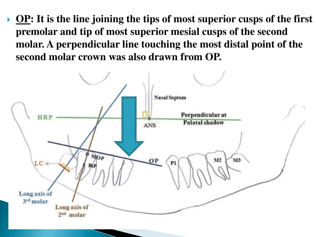 op it is the line joining the tips of most