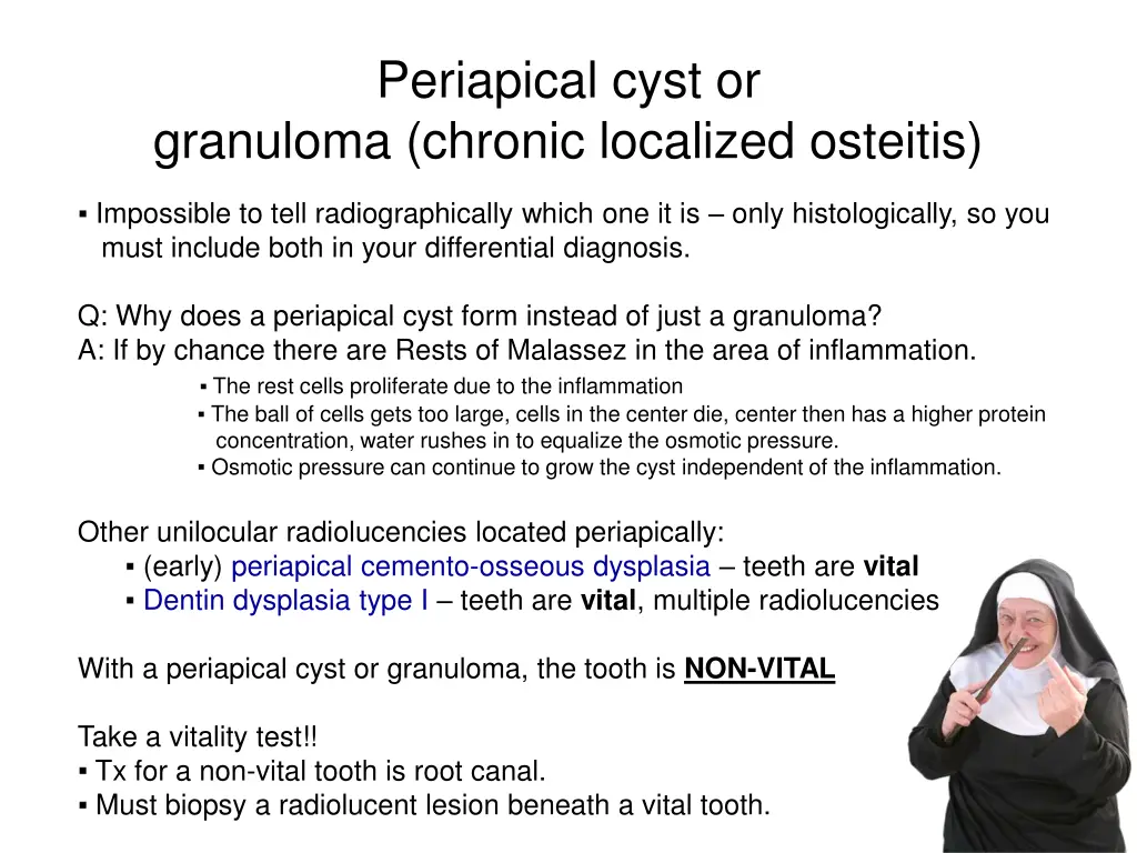 periapical cyst or