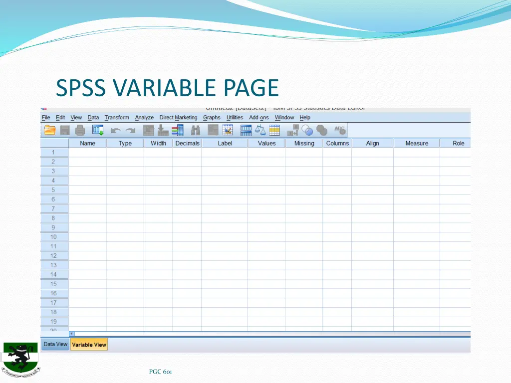 spss variable page
