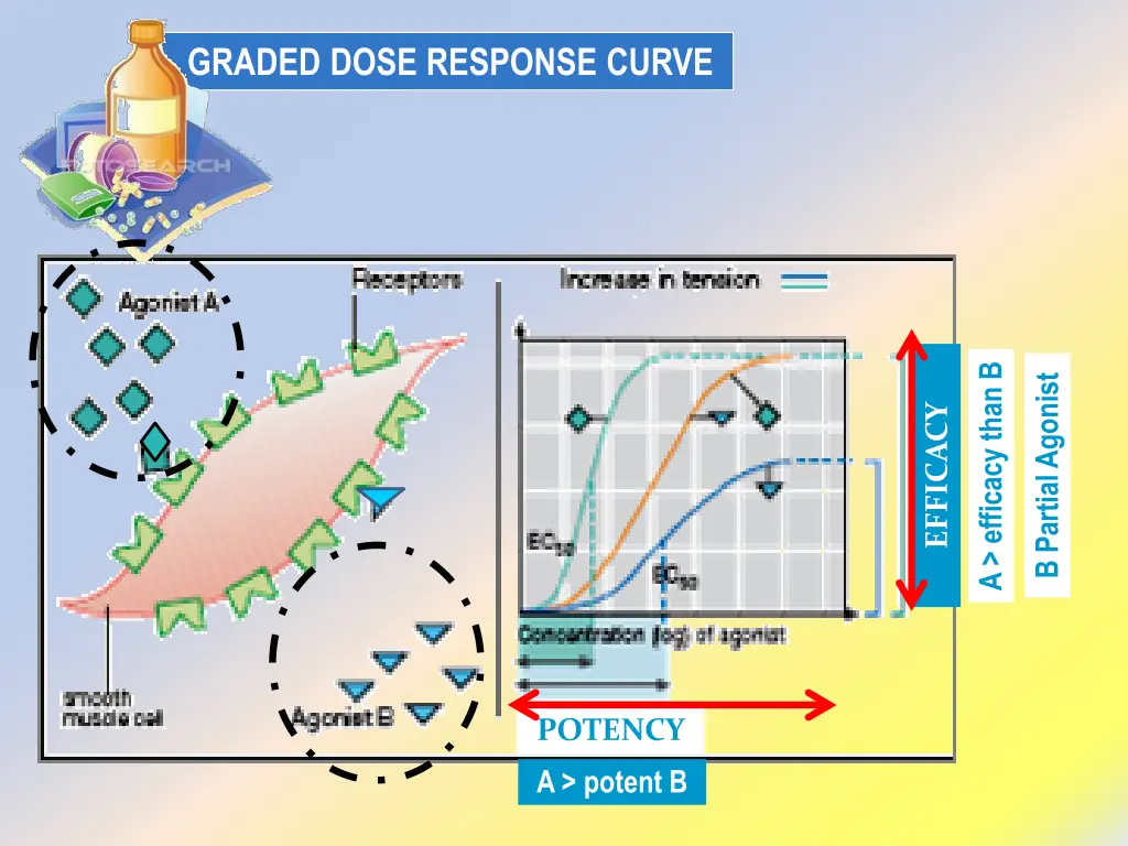 graded dose response curve 2