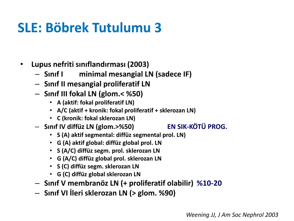 sle b brek tutulumu 3