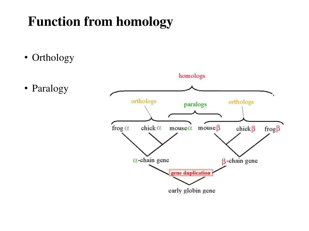 function from homology