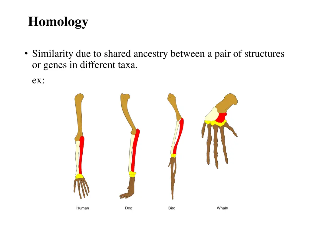 homology