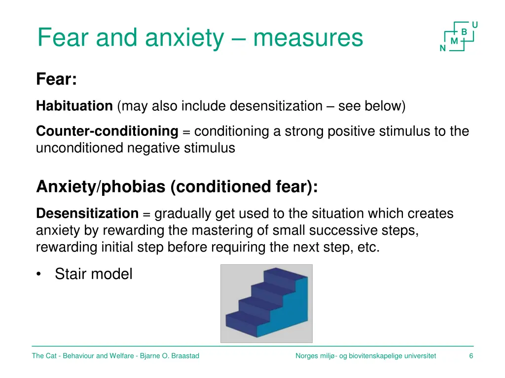 fear and anxiety measures