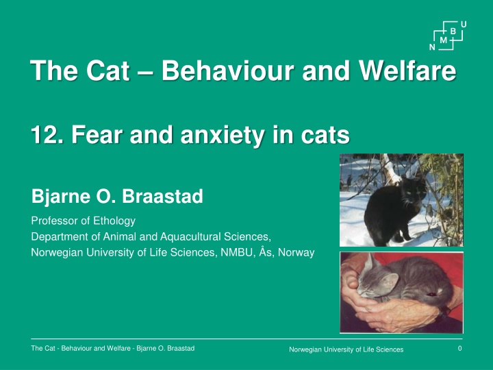 the cat behaviour and welfare