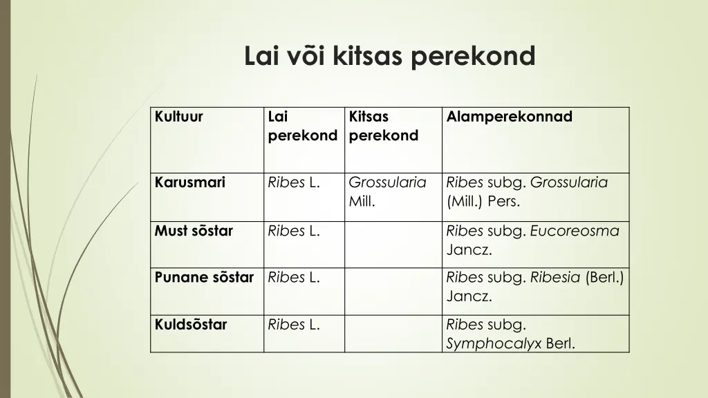 lai v i kitsas perekond