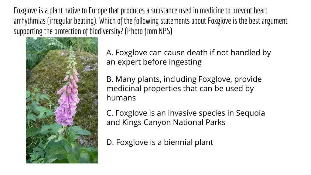 foxglove is a plant native to europe that