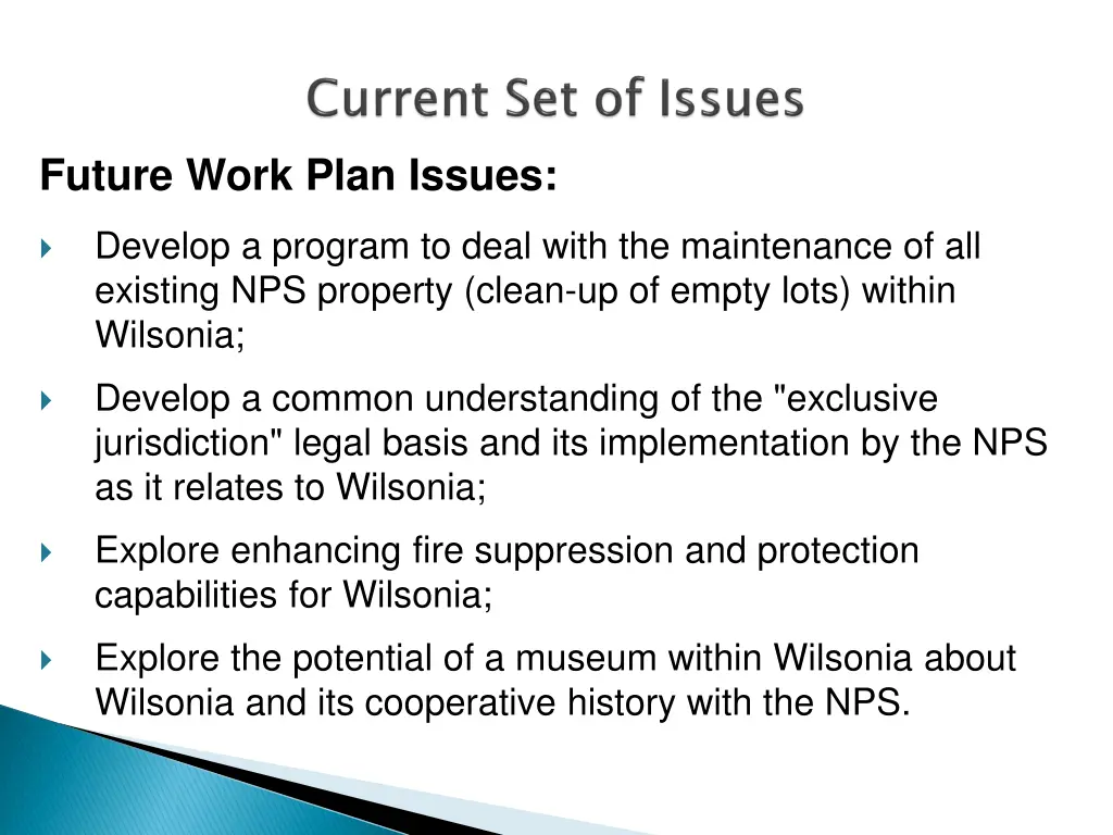 future work plan issues