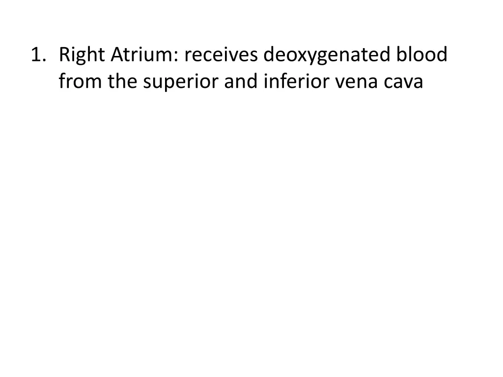 1 right atrium receives deoxygenated blood from