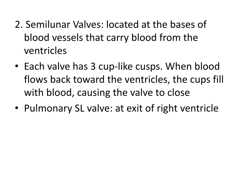 2 semilunar valves located at the bases of blood 2