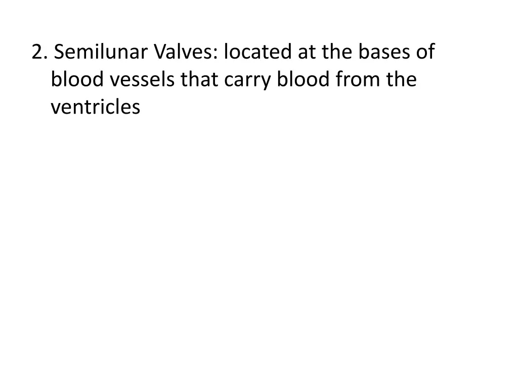 2 semilunar valves located at the bases of blood