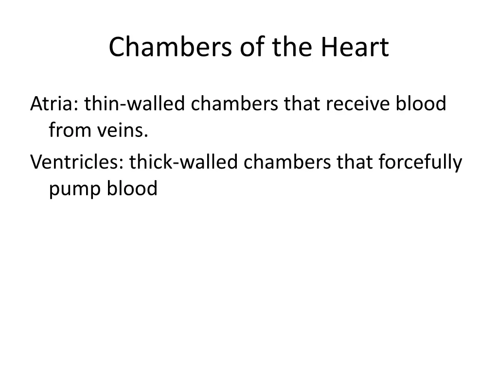 chambers of the heart 1