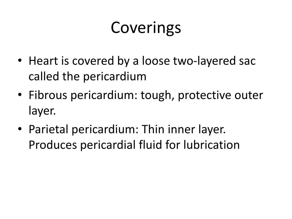 coverings 2