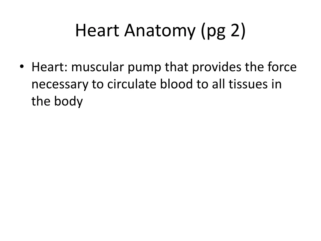 heart anatomy pg 2