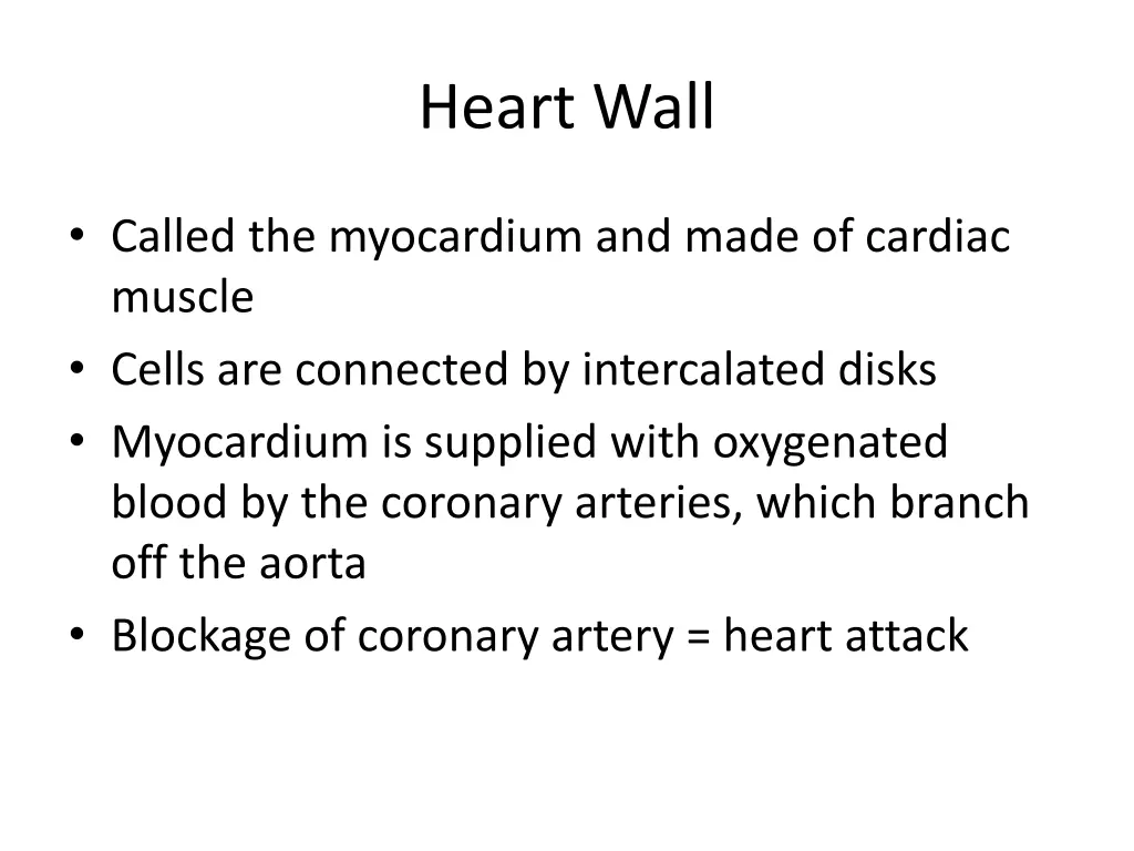 heart wall 3