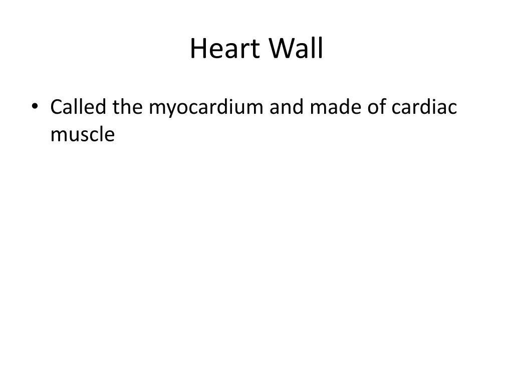 heart wall