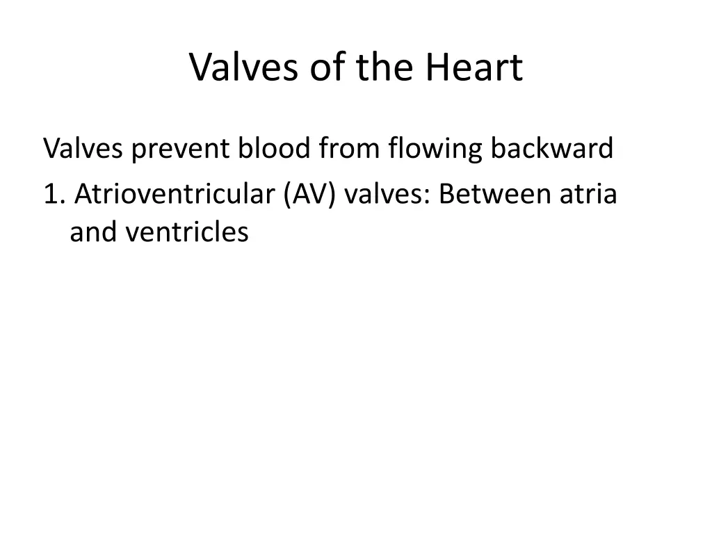 valves of the heart 1