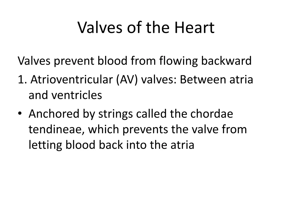 valves of the heart 2
