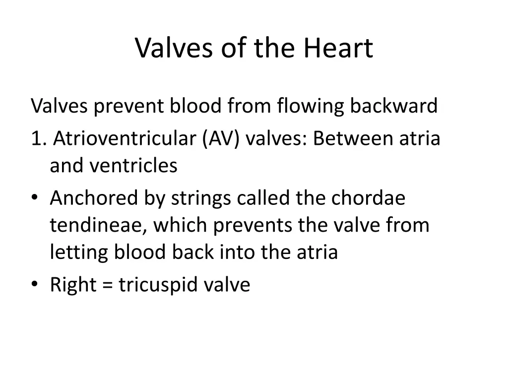 valves of the heart 3