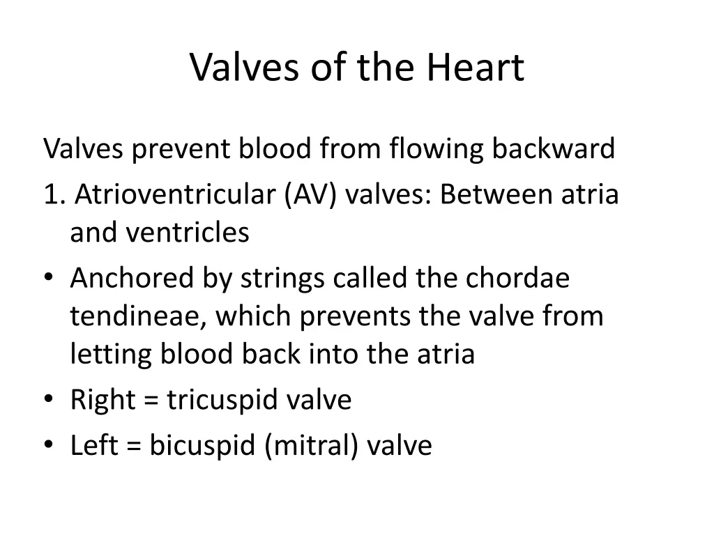valves of the heart 4