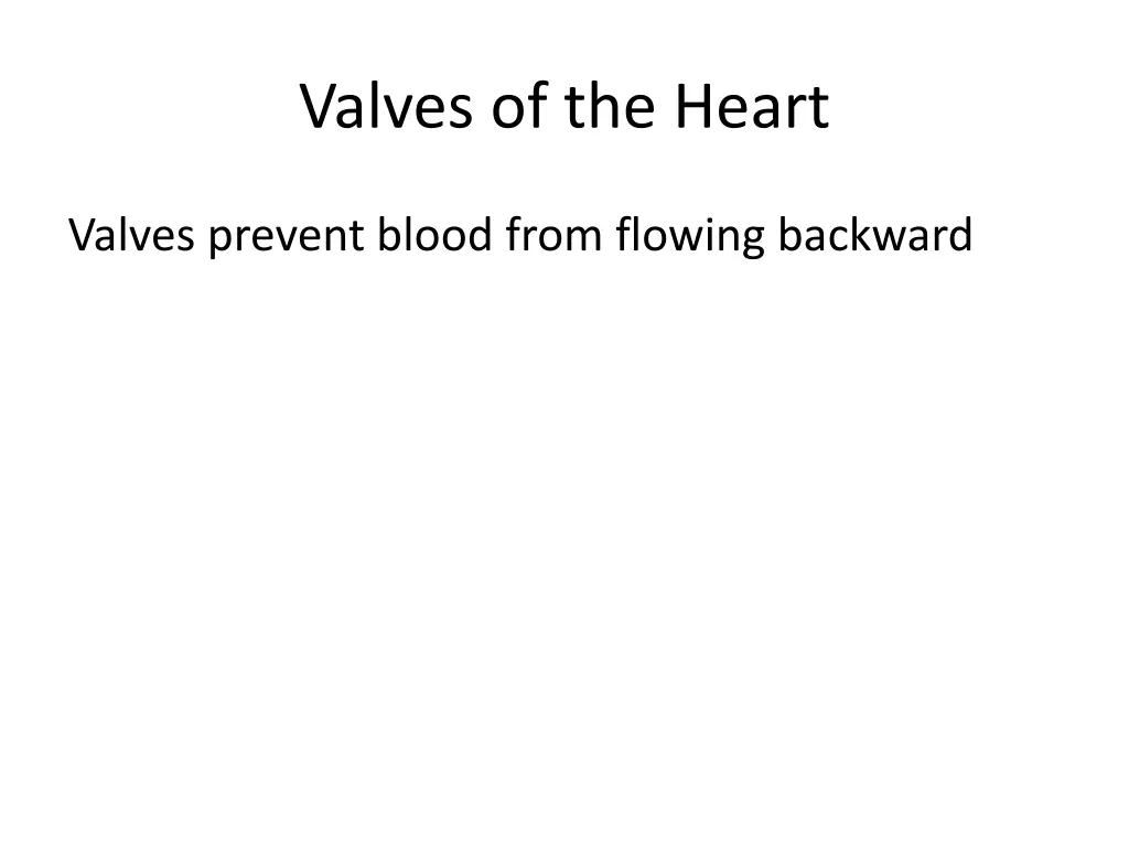 valves of the heart