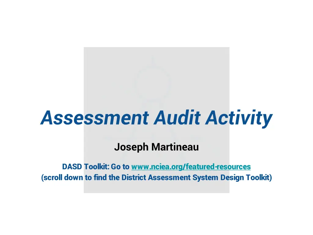 assessment audit activity
