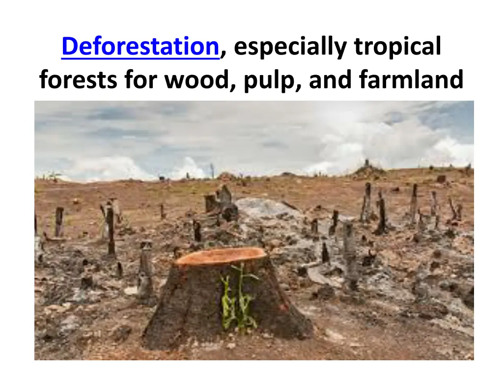 deforestation especially tropical forests