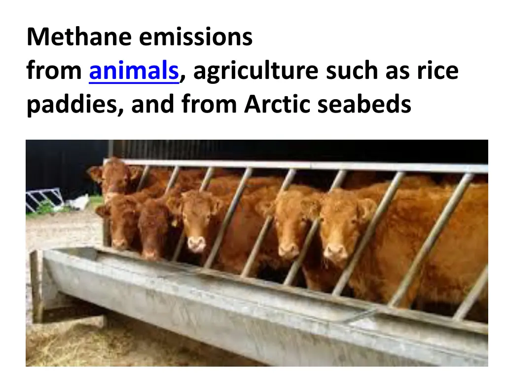 methane emissions from animals agriculture such