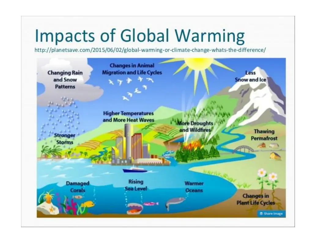 slide7