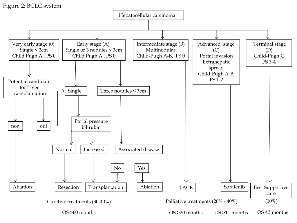 figure 2 bclc system
