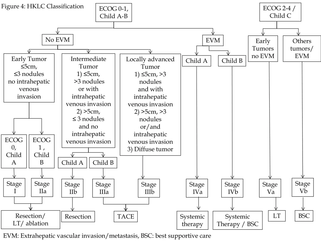figure 4 hklc classification