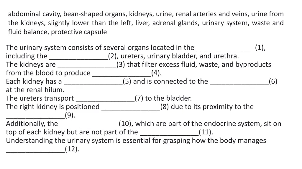 abdominal cavity bean shaped organs kidneys urine