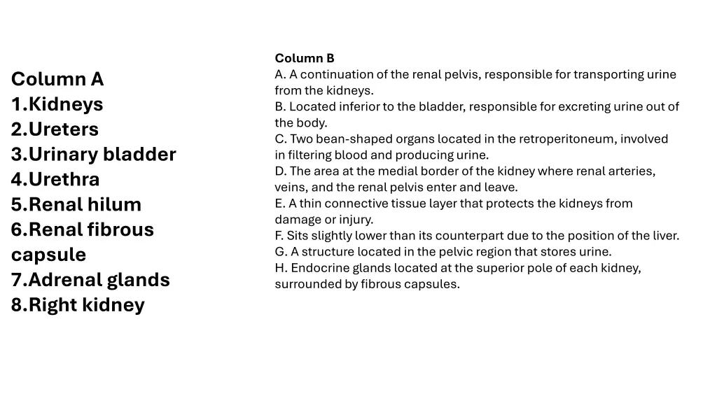 column b a a continuation of the renal pelvis