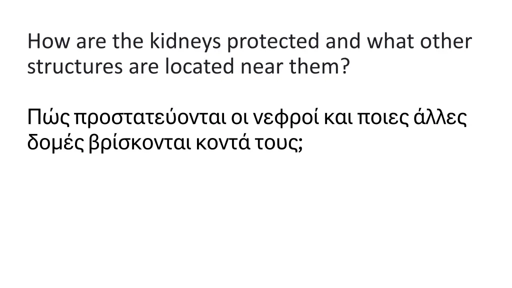how are the kidneys protected and what other