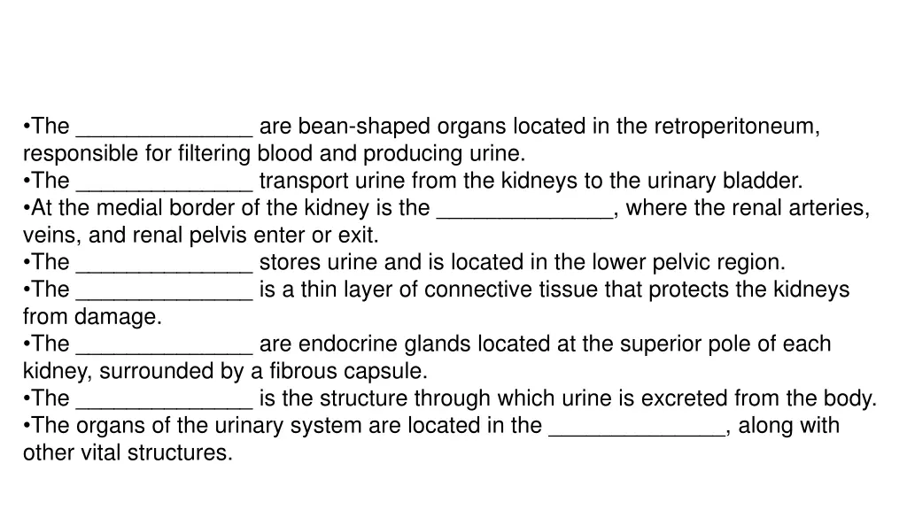 the are bean shaped organs located