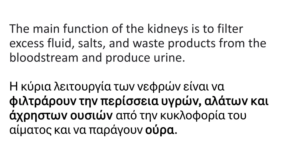 the main function of the kidneys is to filter