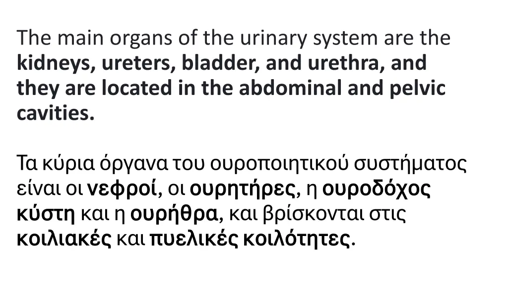 the main organs of the urinary system