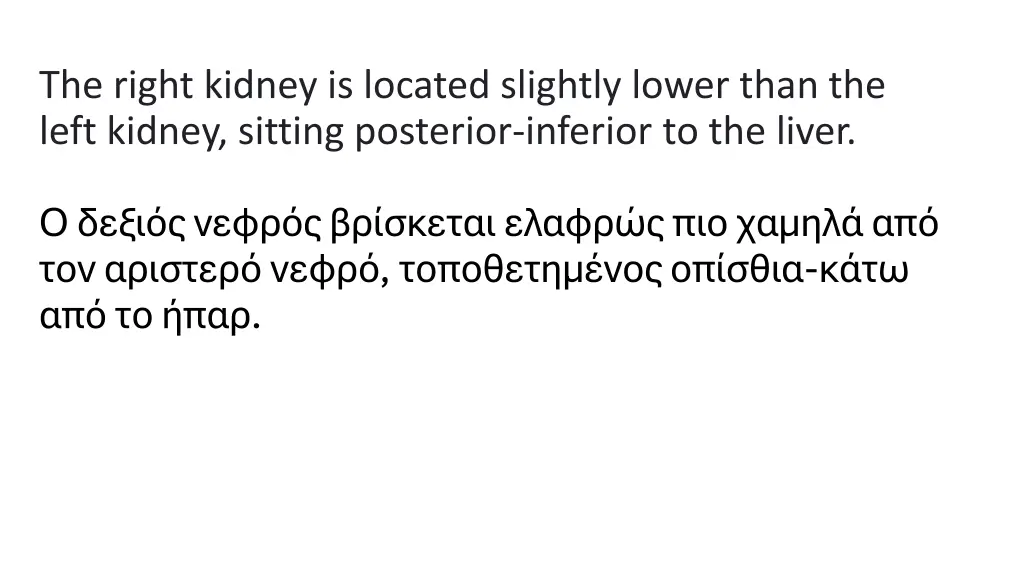 the right kidney is located slightly lower than