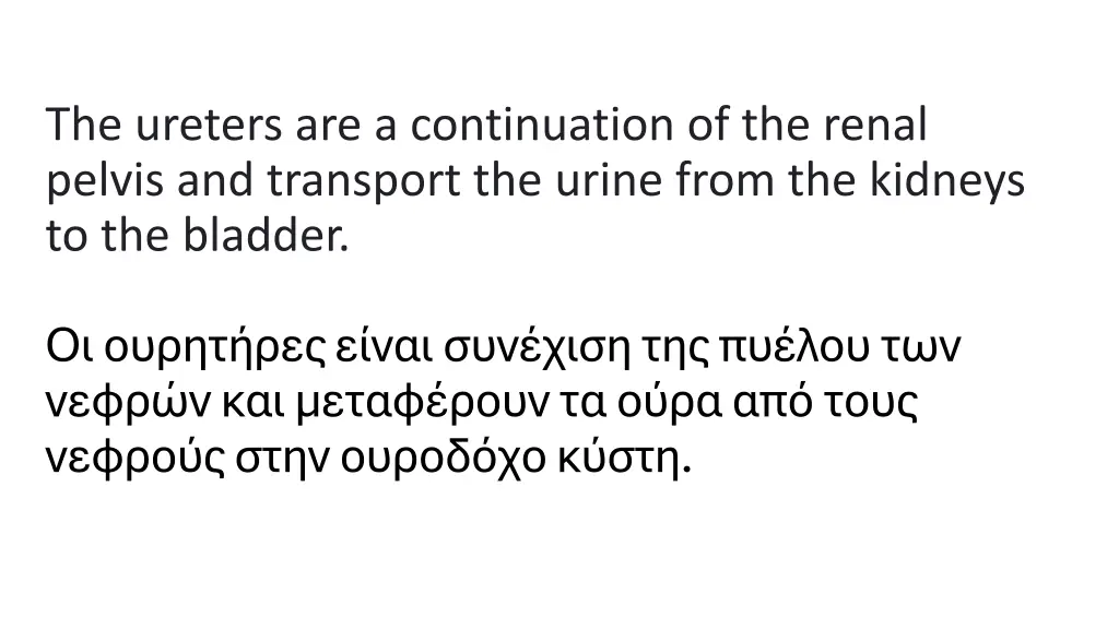 the ureters are a continuation of the renal
